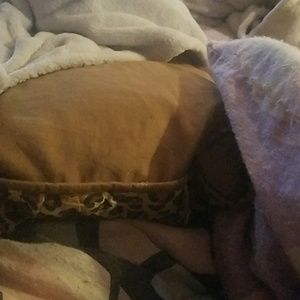 Meet your Posher, Connie